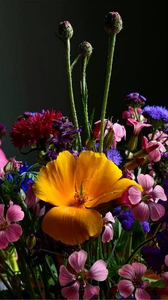 Step-by-step eco bouquet