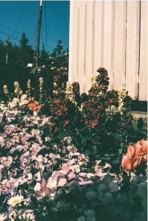 Student bouquet 1