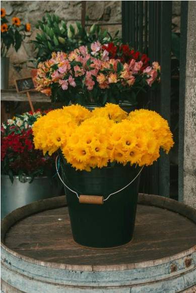 Student bouquet 3