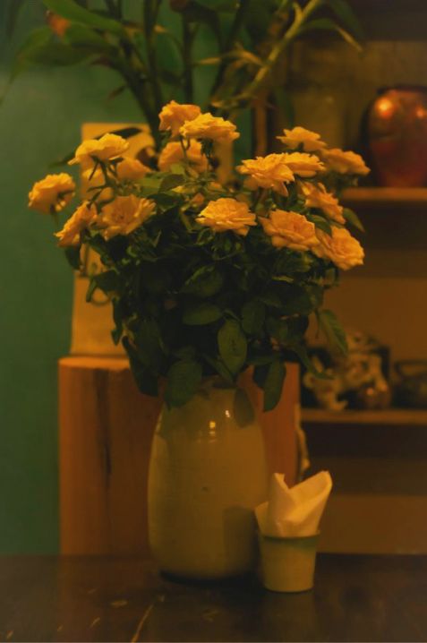 Gallery 2