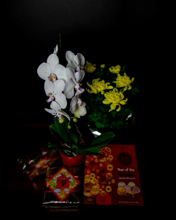 Eco bouquet kit